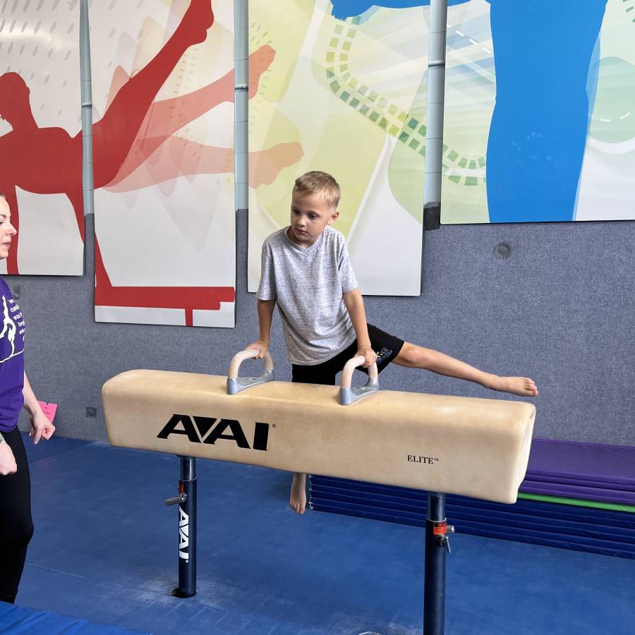 ADAPTIVE GYMNASTICS LEVEL 3